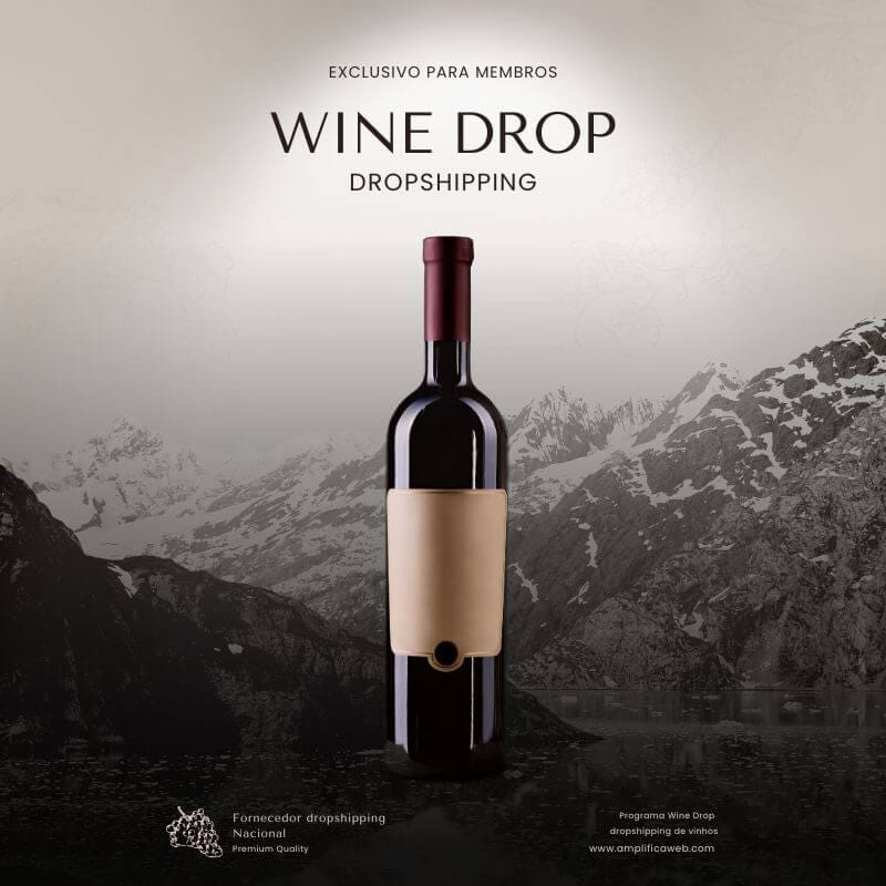 dropshipping de vinhos e bebidas amplifica web min