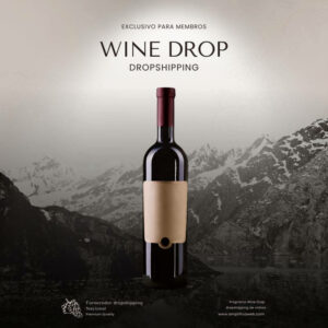 dropshipping de vinhos e bebidas amplifica web min