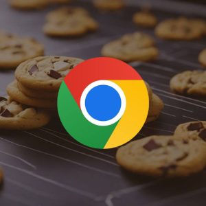Google adia o Apocalipse dos cookies O que isso significa para Você afiliado Amplifica Web